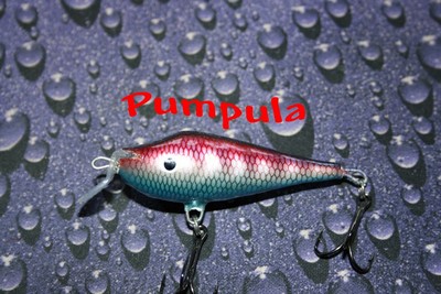 pumpula_1.jpg